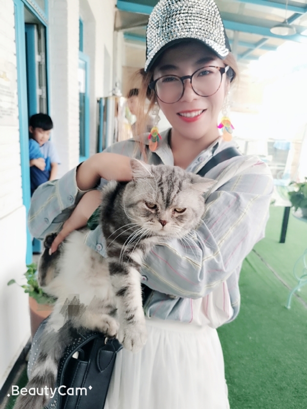 小黑猫的第一张照片--闽侯交友网