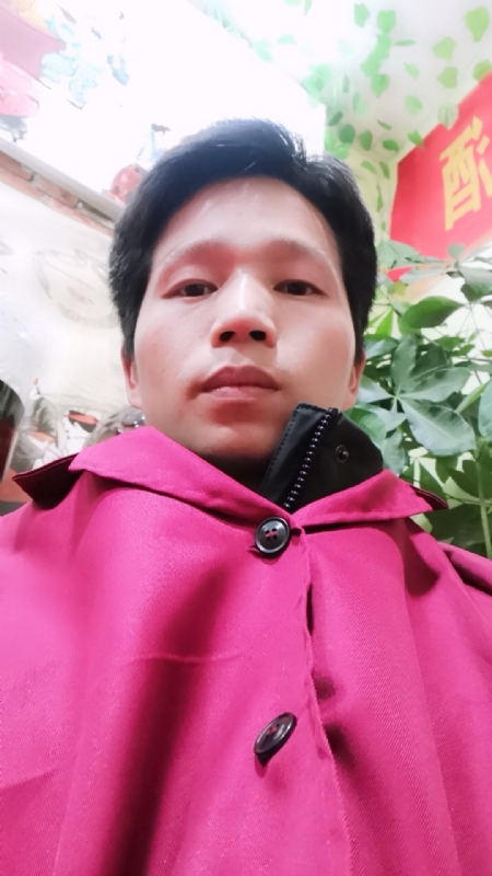 单身的林凡的第一张照片--闽侯交友网