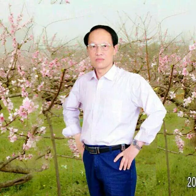 枫叶的第一张照片--闽侯交友网